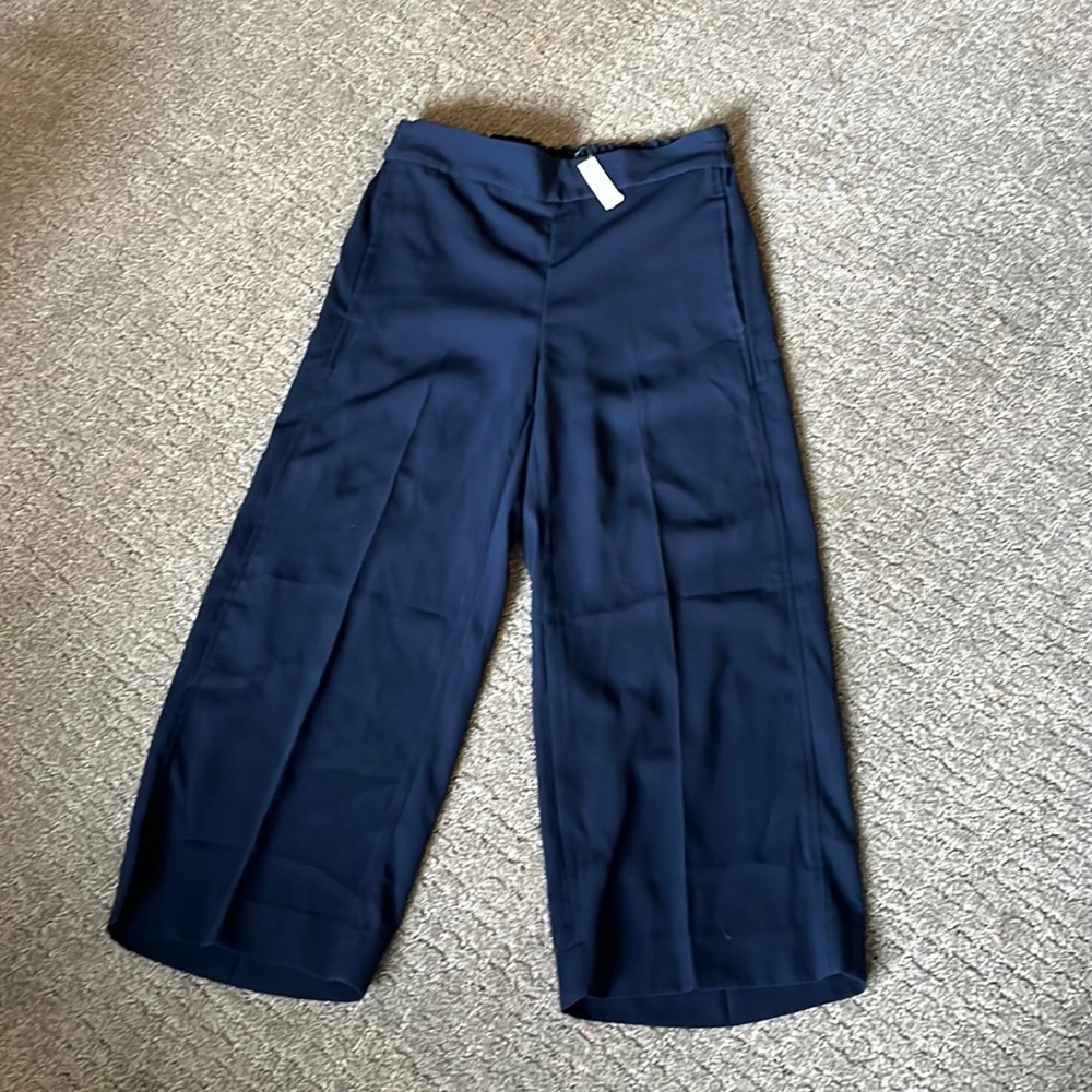 Cute high waisted Madewell pull on slacks